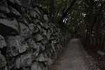 Dcim15621/DSC_1882
