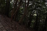 Dcim15621/DSC_1886