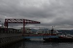 Dcim15627/DSC_2547