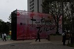 Dcim15635/DSC_3295