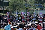 Dcim15636/DSC_0233