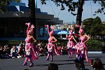 Dcim15640/DSC_0772