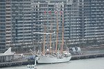 Dcim15663/DSC_5247