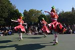 Dcim15684/DSC_3197