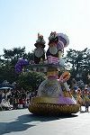 Dcim15684/DSC_3261