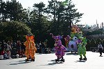 Dcim15684/DSC_3295