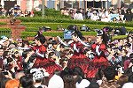 Dcim15692/DSC_6749