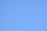 Dcim15744/DSC_6296