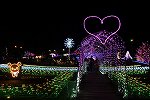 Dcim15763/DSC_1907