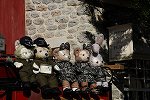 Dcim15786/DSC_4166