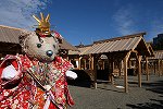 Dcim15796/DSC_5196
