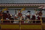 Dcim15800/DSC_8317