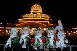 Dcim15810/DSC_8772