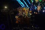 Dcim15831/DSC_9245
