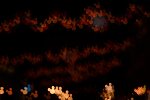 Dcim15832/DSC_9505