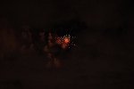 Dcim15858/DSC_0797