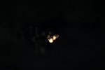 Dcim15858/DSC_0799