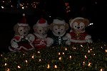 Dcim15872/DSC_1904