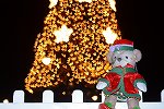 Dcim15882/DSC_1172