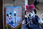 Dcim15935/DSC_7423