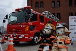 Dcim15958/DSC_4141