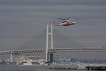 Dcim15961/DSC_4555