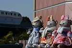 Dcim15962/DSC_4677