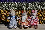 Dcim15962/DSC_4695
