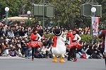 Dcim15981/DSC_6830