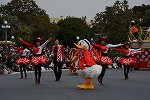 Dcim15986/DSC_7186
