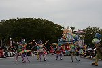 Dcim15988/DSC_7504