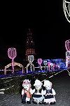Dcim16020/DSC_0288