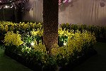 Dcim16023/DSC_0611