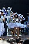 Dcim16041/DSC_2517