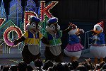 Dcim16043/DSC_2700