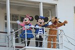 Dcim16043/DSC_2730