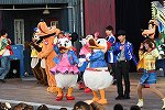 Dcim16050/DSC_3459