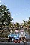 Dcim16072/DSC_5439