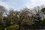 Dcim16076/DSC_5920