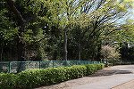 Dcim16079/DSC_6244