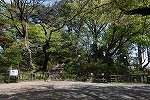 Dcim16079/DSC_6291