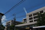 Dcim16080/DSC_6352