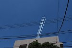 Dcim16081/DSC_6395