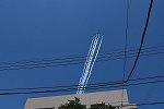 Dcim16081/DSC_6398