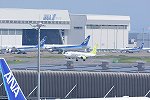 Dcim16095/DSC_0816