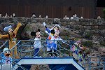 Dcim16119/DSC_1799