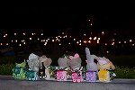 Dcim16119/DSC_1841