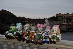 Dcim16122/DSC_9206