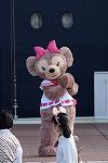 Dcim16127/DSC_1950