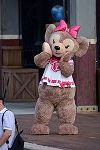 Dcim16128/DSC_2039